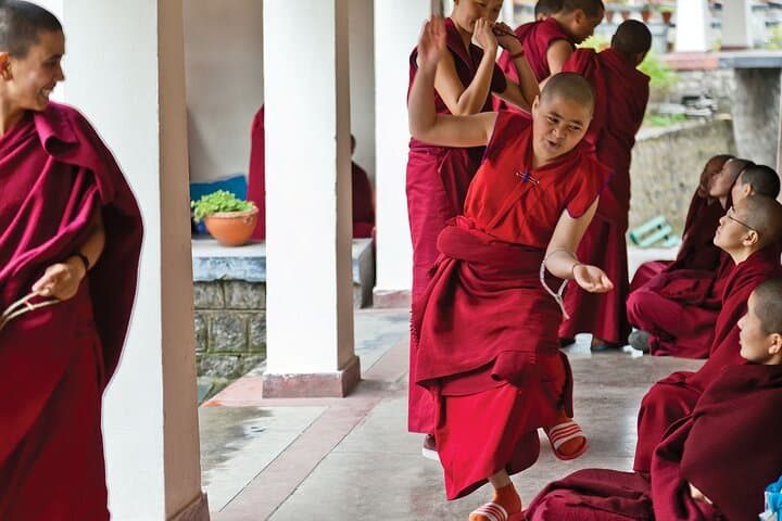 Guided Tibetan Culture Walk at Norbulingka, Gyuto & Dolma Ling Nunnery — Dharamsala Cultural Tour photo 2
