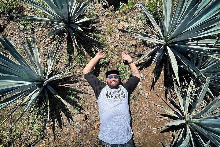 Private One-Day Tequila Tour: La Fortaleza Distillery & Agave Fields