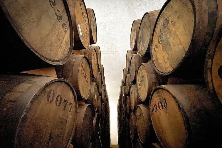 Private One-Day Tequila Tour: La Fortaleza Distillery & Agave Fields photo 5