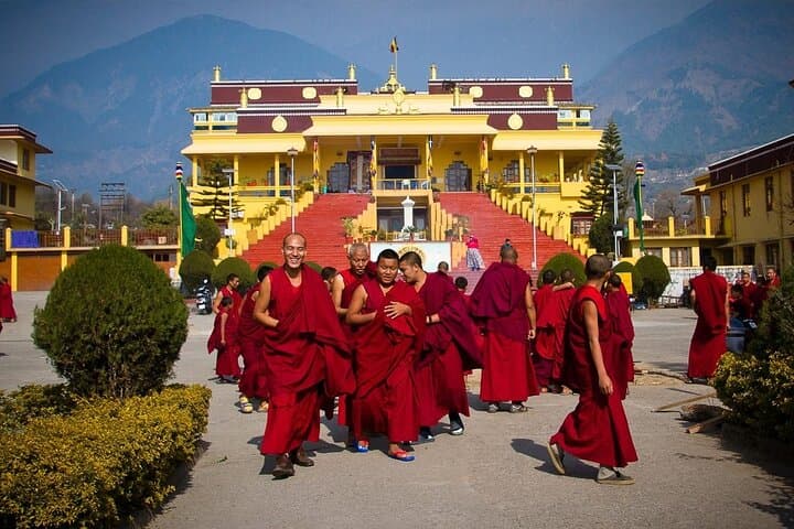 Guided Tibetan Culture Walk at Norbulingka, Gyuto & Dolma Ling Nunnery — Dharamsala Cultural Tour