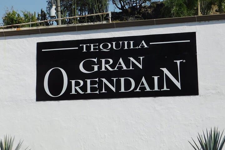 Day Trip to Tequila: Orendain Distillery & Agave Fields Private Tour photo 3