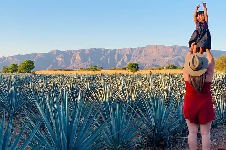 Day Trip to Tequila: Orendain Distillery & Agave Fields Private Tour photo 5