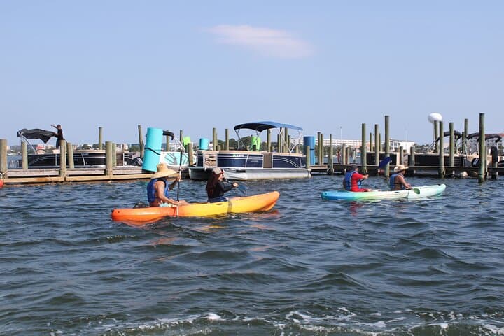 Paddle the Emerald Coast: Kayak Adventure in Destin and Fort Walton Beach photo 2
