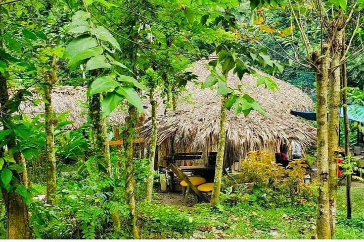 Bamboo Rafting and Jerk Picnic at Lethe Waterfalls near Montego Bay photo 3