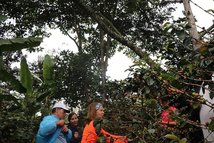 Salkantay Trek 5D/4N: High-Altitude Hike to Machu Picchu with Llactapata View photo 3