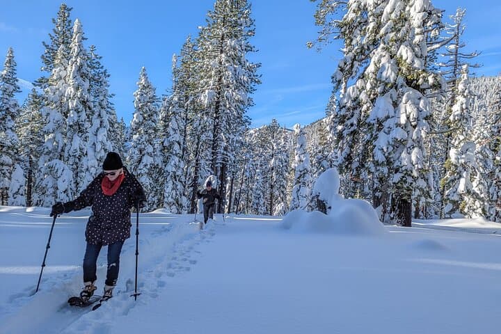 Introductory Snowshoe Tour in Tahoe National Forest — Beginner Winter Walks Near Palisades Tahoe photo 5