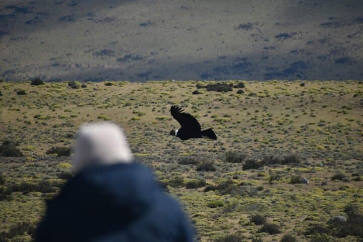 Private Full-Day Torres del Paine & Milodon Cave Tour from Punta Arenas photo 6