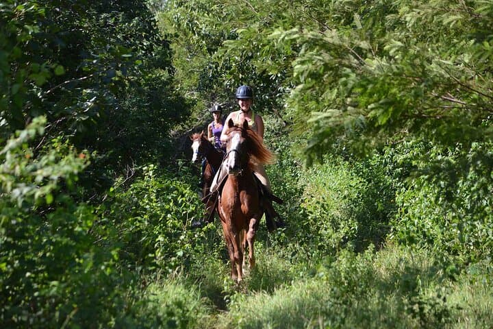 Tulum Adventure: ATV, Horseback, Cenote Swim & Zipline Day Tour photo 4