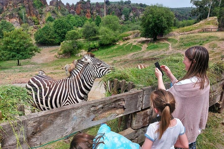 Cabárceno Natural Park Guided Visit from Santander — Drive-Through Wildlife & Live Demonstrations photo 2