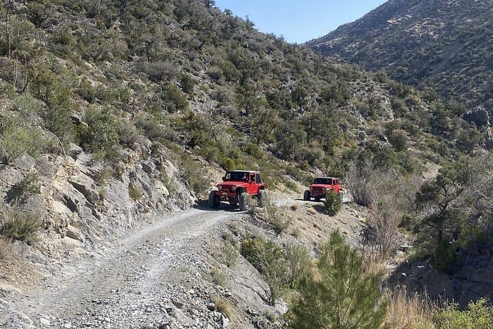 Red Rock Canyon Half-Day Jeep Rock Crawler Tour from Las Vegas photo 3