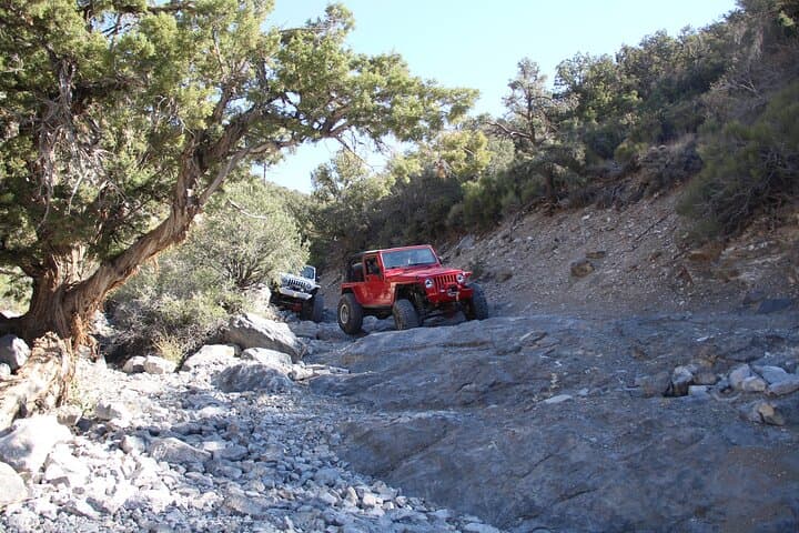 Red Rock Canyon Half-Day Jeep Rock Crawler Tour from Las Vegas photo 5