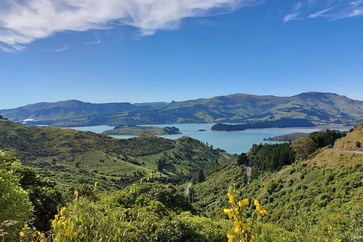 Lyttelton Shore Excursion — Christchurch City Sights & Willowbank Wildlife Reserve photo 3
