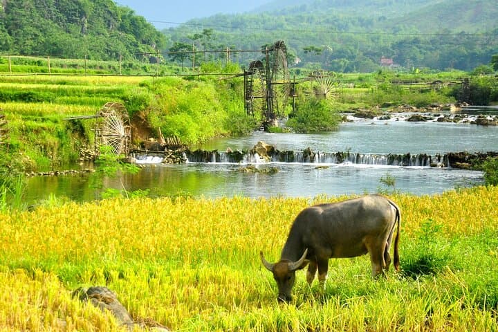 Pu Luong 2-Day Trek from Hanoi — Rice Terraces, Caves & Bamboo Rafting