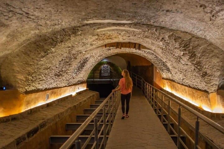 Private Day Tour: Guadalajara Museums & Michin Aquarium