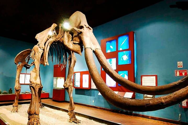 Private Day Tour: Guadalajara Museums & Michin Aquarium photo 2
