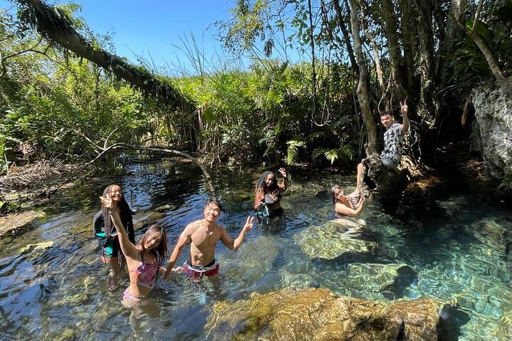 Arenales River Caving & Waterfall Adventure in Puerto Rico's Limestone Canyons photo 5