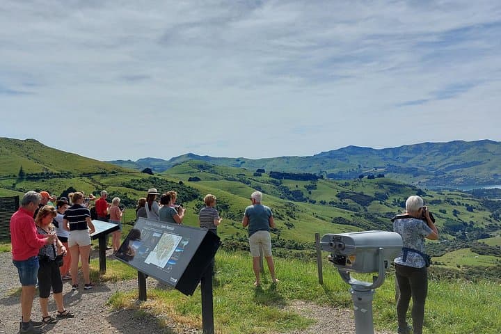 Lyttelton to Akaroa: Twin Harbour Shore Excursion & Akaroa Harbour Nature Cruise photo 3