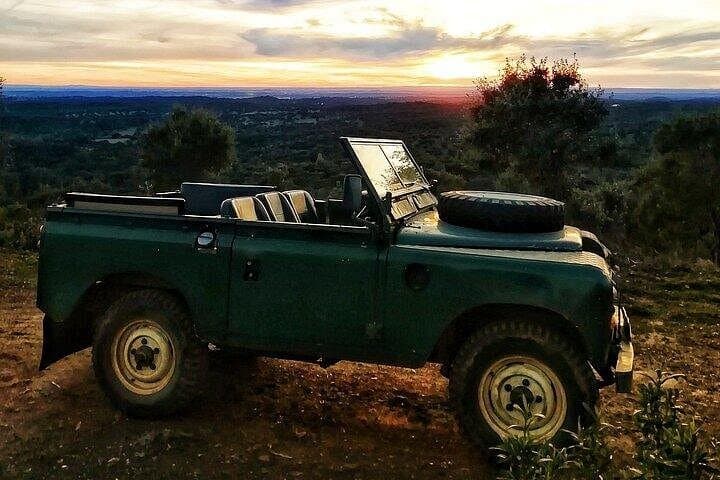 Cork Safari in a Classic Land Rover: 2-Hour Alentejo Montado Tour