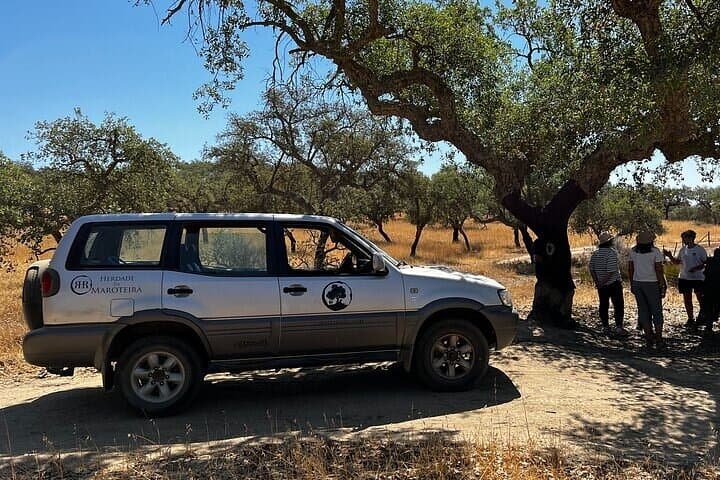 Jeep Cork Forest Tour Near Setúbal: Wine Tasting and Traditional Lunch photo 2