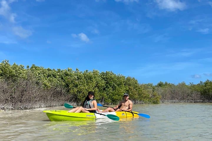 2-Hour Private Kayak Tour in Ciénaga de Chuburná — Merida Mangrove Wildlife Paddle photo 2