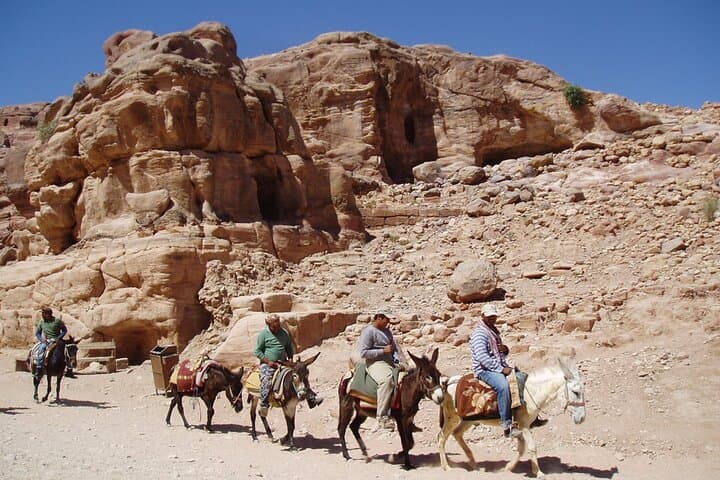 Luxor West Bank Camel, Horse & Donkey Ride: Private Guided Tour