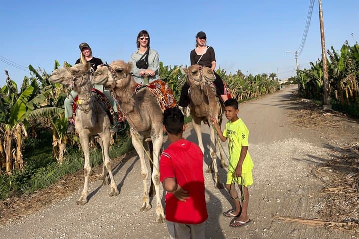 Luxor West Bank Camel, Horse & Donkey Ride: Private Guided Tour photo 4
