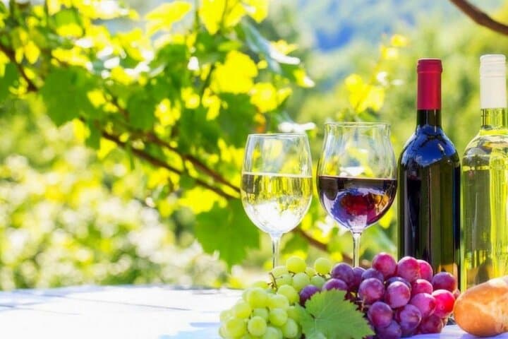 Stellenbosch Winelands Private Full-Day Wine Tour from Cape Town photo 2