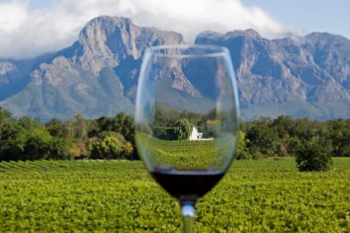 Stellenbosch Winelands Private Full-Day Wine Tour from Cape Town photo 4