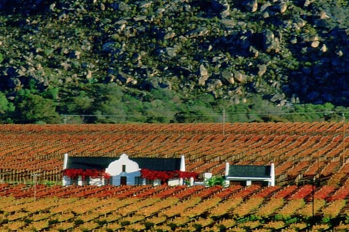 Stellenbosch Winelands Private Full-Day Wine Tour from Cape Town photo 5