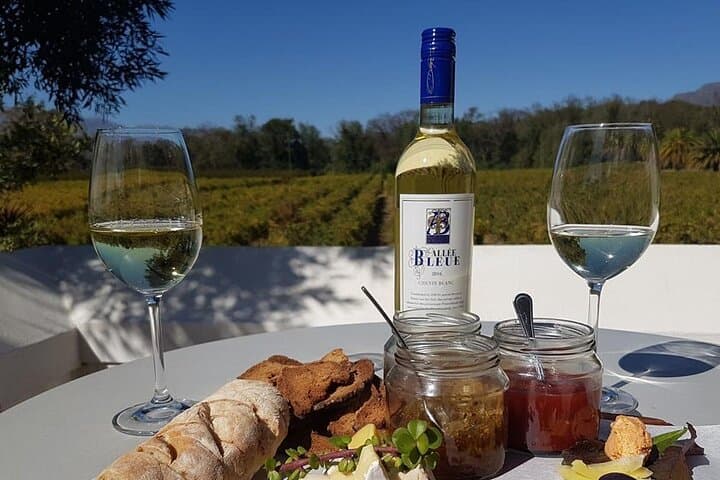 Stellenbosch Winelands Private Full-Day Wine Tour from Cape Town