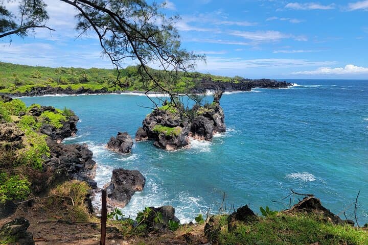 Road to Hana: Rainforest Waterfalls, Black Sand Beach & Picnic Lunch — A Day Along Maui’s Most Scenic Highway photo 3