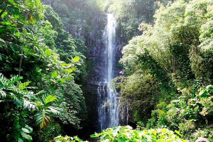 Road to Hana: Rainforest Waterfalls, Black Sand Beach & Picnic Lunch — A Day Along Maui’s Most Scenic Highway photo 6