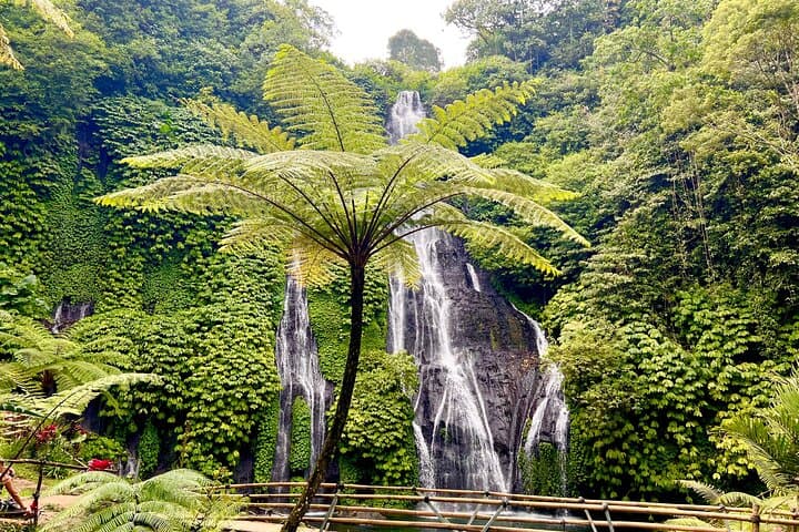 Banyuwana & Banyumala Waterfall Hike: Private Day Tour from Ubud