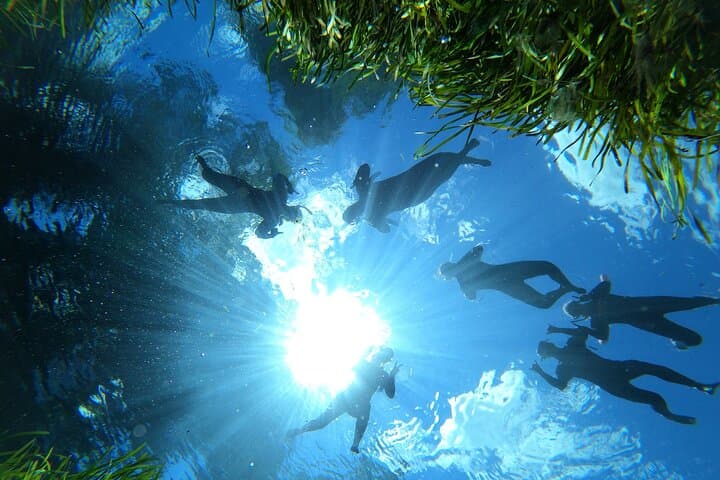 Crystal River Manatee Snorkel: 4-Hour VIP In-Water Guide Experience photo 3