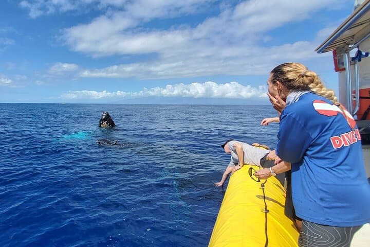 Small-Group Whale Watching Raft Tour from Lahaina — Maui Humpback Encounters photo 2