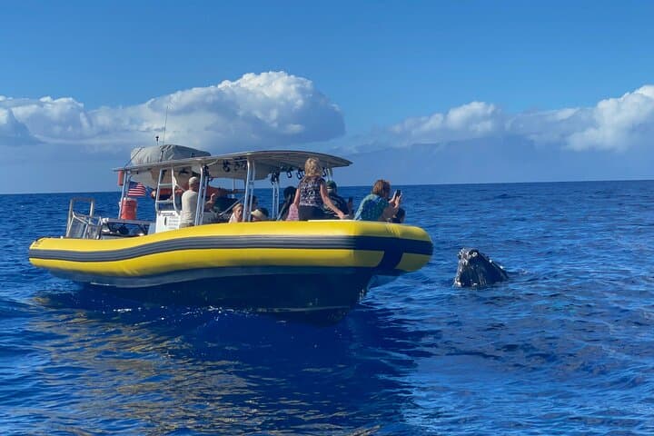 Small-Group Whale Watching Raft Tour from Lahaina — Maui Humpback Encounters photo 6