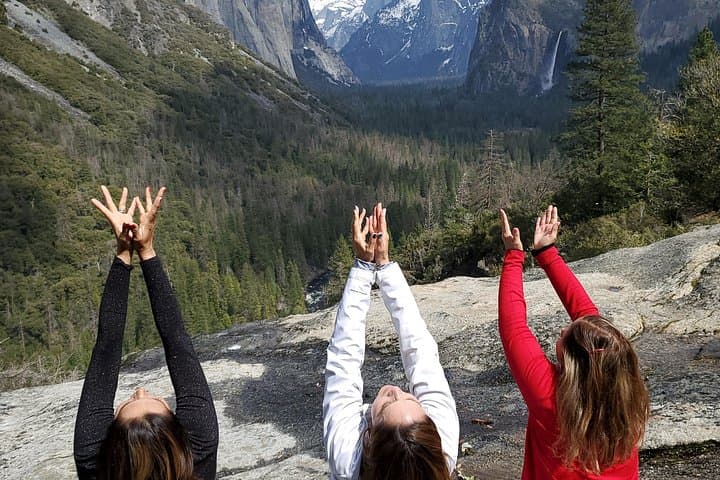 One-Day Private Yosemite Tour from San Francisco: Valley Views, Waterfalls & Sequoias photo 2