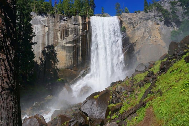 One-Day Private Yosemite Tour from San Francisco: Valley Views, Waterfalls & Sequoias photo 4