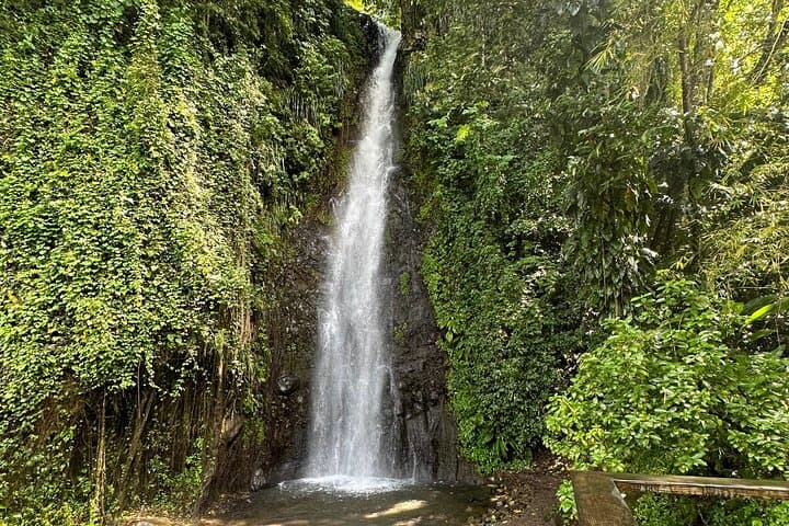 Dark View Falls & Buccament Beach Day Trip — Waterfalls, Swim & Snorkel near Kingstown photo 2