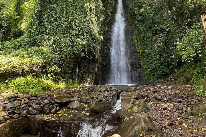 Dark View Falls & Buccament Beach Day Trip — Waterfalls, Swim & Snorkel near Kingstown photo 3