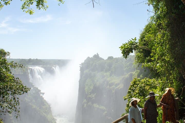 Victoria Falls Rainforest Guided Walk: Private Tour on Zimbabwe Side photo 5
