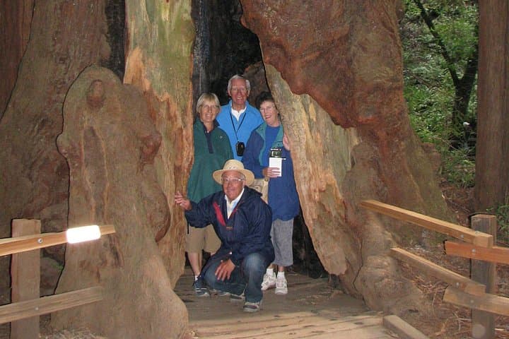 Muir Woods to Sonoma: Private Day Tour from San Francisco photo 5