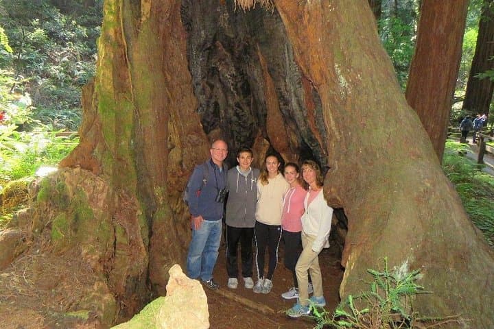 Muir Woods to Sonoma: Private Day Tour from San Francisco photo 6