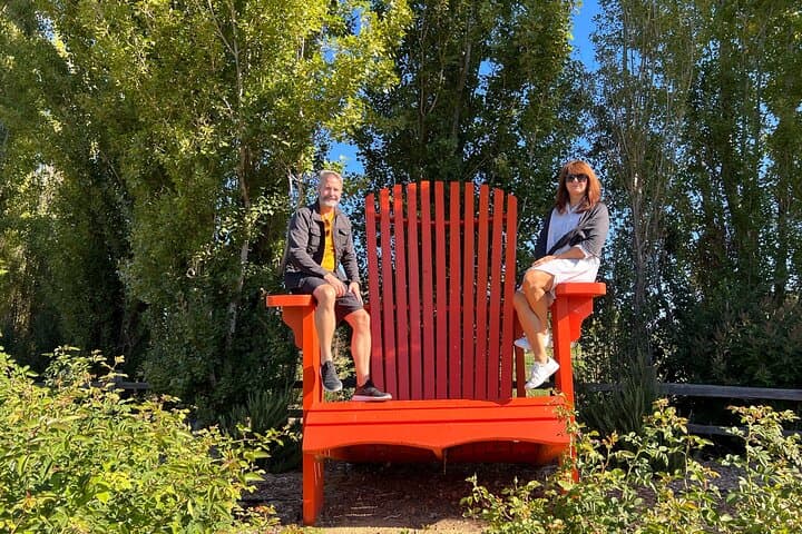 Full-Day Private Napa Valley Wine Experience: VIP Tastings & Vineyard Views photo 4