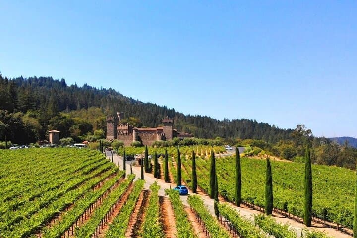 Full-Day Private Napa Valley Wine Experience: VIP Tastings & Vineyard Views photo 2