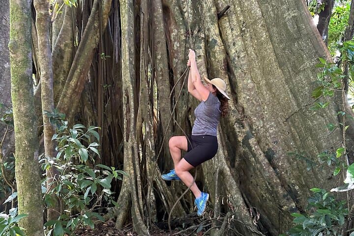 Vermont Nature Trail: Rainforest Walk & Parrot Spotting from Kingstown
