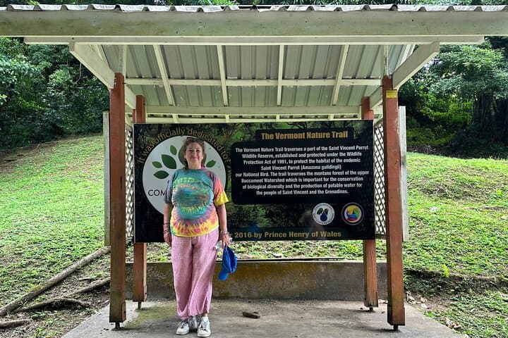 Vermont Nature Trail: Rainforest Walk & Parrot Spotting from Kingstown photo 2