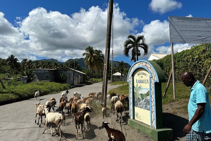 Owia Salt Pond & Black Point Tunnel Tour — St Vincent Windward Coast Day Trip photo 2