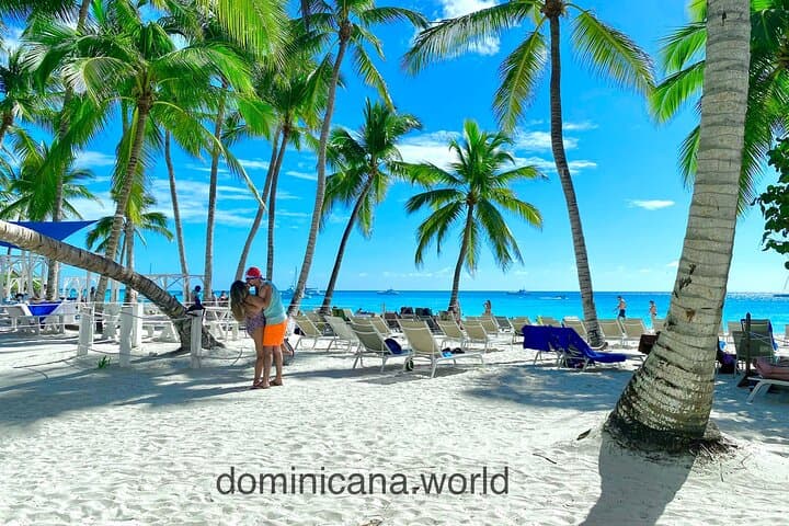 Saona Island Natural Pool & Starfish Tour from Punta Cana — Fast Boat and Catamaran photo 5
