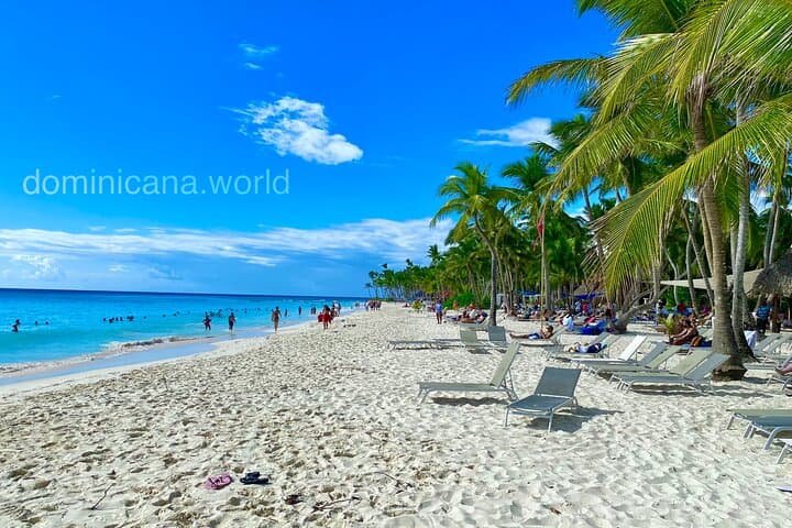 Saona Island Natural Pool & Starfish Tour from Punta Cana — Fast Boat and Catamaran photo 2